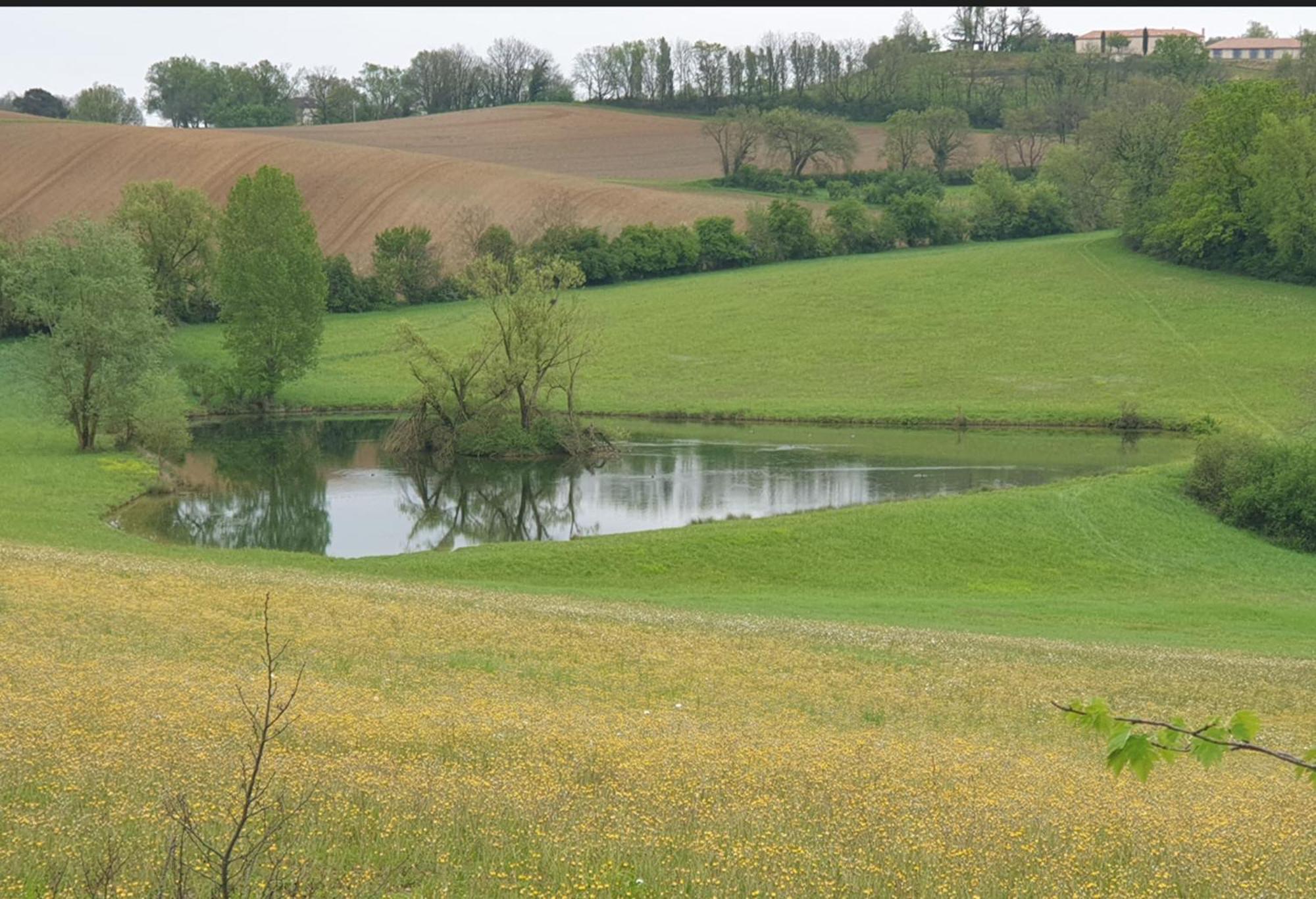 Love Room- Spa- Escale Amoureuse Puygaillard-de-Quercy Esterno foto